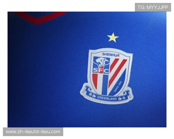 法甲球衣字体设计商及字体统一政策说明