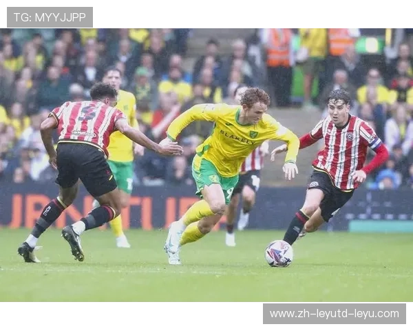 英超伯明翰足球队发展历史及其在联赛中的地位探讨