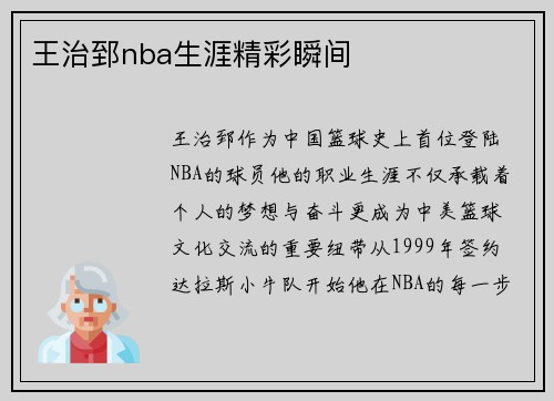 王治郅nba生涯精彩瞬间